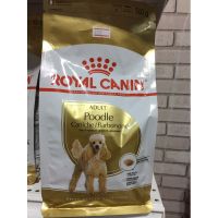 โปรโมชั่นโหด ส่งฟรี Royal Canin Adult Poodle 500g