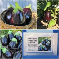 เมล็ดพันธุ์ มะเขือม่วงยักษ์ แบล็คบิวตี้ (Black Beauty Eggplant Seed) 150 เมล็ด คุณภาพดี ราคาถูก ของแท้