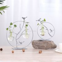 Transparent Nordic Glass Vase Modern Gold Plated Iron Fashion Hydroponi Plant Vase Creative Terrarium Room Home Wedding Decor