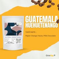 OneUp เมล็ดกาแฟคั่วกลาง Guatemala  Huehuetenango กาแฟคั่วกลางกัวเตมาลา