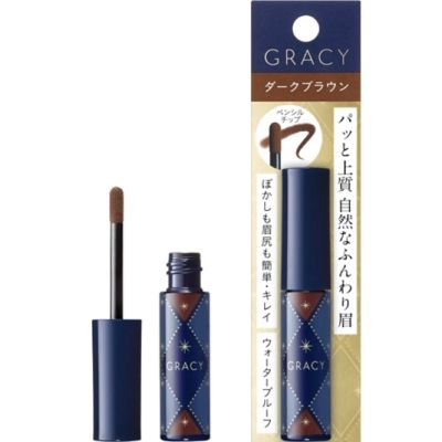 Shiseido INTEGRATE GRACY Chiffon Powder Eyebrow ดินสอเขียนคิ้ว สีฝุ่นปัดคิ้ว ทาคิ้ว