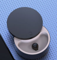 Mini Bluetooth Earbud Invisible Bluetooth 5.0 Earphone True Wireless Earpiece with Charging Case Handsfree for All Phone