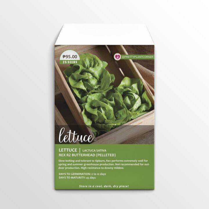 Rex RZ Butterhead Pelleted Lettuce Seeds Lazada PH