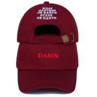 Unisex ฤดูใบไม้ผลิฤดูร้อน DAMN หมวกปัก Earth พ่อหมวก Hip Hop หมวก Kendrick lamar Rapper Snapback หมวกเบสบอลหมวกขายส่ง-Zitao