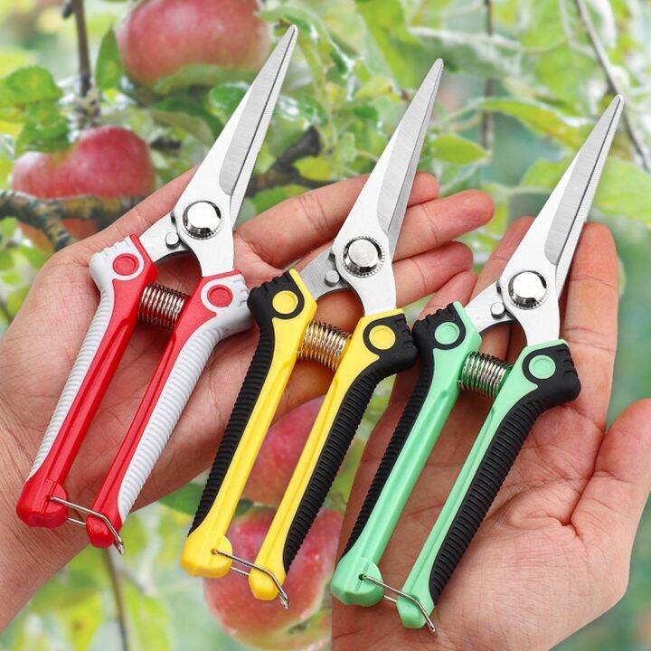 pruner-ใบมีดตรงสแตนเลสกรรไกรตัดแต่งกิ่งด้วยมือกรรไกรจัดสวนคมพิเศษสำหรับการเก็บเกี่ยวดอกไม้