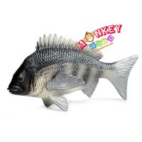 Monkey Toys - โมเดลสัตว์ Tilapia ปลานิล ขนาด 16.50 CM (จากหาดใหญ่)