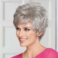 HAIRJOY Synthetic Hair Women Classic Short Wigs Layers Curly Grey Wig [ Hot sell ] Decoration Center