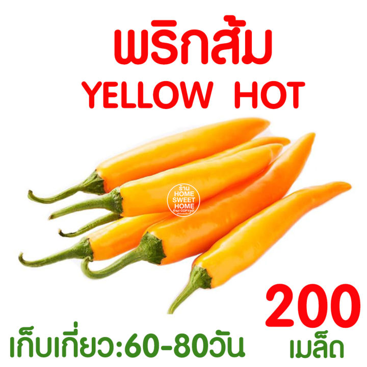 ค่าส่งถูก-พริก-เมล็ดพริก-พริกส้ม-200-เมล็ด-เมล็ดพันธุ์-ผักสวนครัว-พริกขี้หนู-พริกขี้หนูสวน-พริกชี้ฟ้า-ปลูกง่าย-งอกดี-โตไว