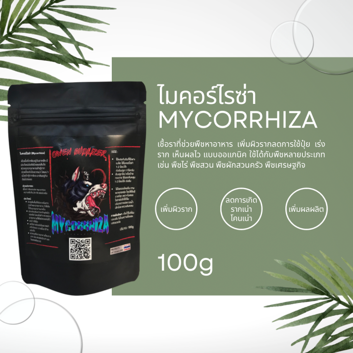 ไมคอร์ไรซ่า-เพิ่มราก-ปลูกกัญ-mycorrhiza-เร่งราก-ดินดี-กัญ-น้ำ-ช่วยรากดูดซึม-ราอาร์บัสคูลาร์-เร่งโต-ปุ๋ย-100-กรัม-กระท่อม-ไม้ผล-ไม้ดอกทุเรียน