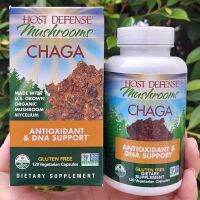 เห็ดหิ้งไซบีเรีย ชาก้า Chaga Antioxidant and DNA Support 120 Capsules (Host Defense™)