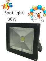 HS สปอร์ตไลท์LED 30W Spotligh tLED (แสงขาว)