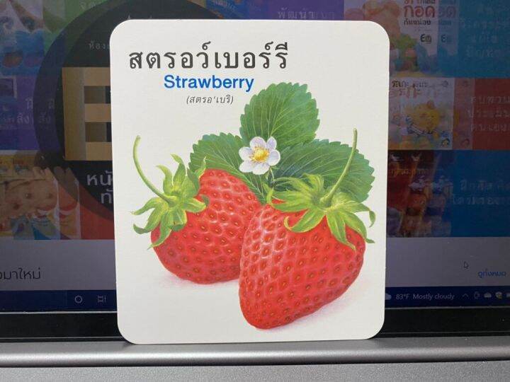 ห้องเรียน-flash-card-บัตรคำศัพท์ประกอบภาพผลไม้-บรรจุบัตรภาพ-32-ใบ-สอนคำศัพท์ภาษาไทย-อังกฤษ