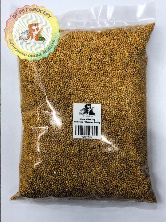 Clean Seeds 1kg White Millet Bird Food Makanan Burung Sekoi Lazada