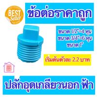 PVC ปลั๊กอุดเกลียวนอก มีขนาด 1/2"=4 หุน 3/4"=6 หุน และ 1 นิ้ว ใช้ได้งานประปาและงานเกษตร สินค้าดีราคาถูก ยิ่งซื้อยิ่งลด