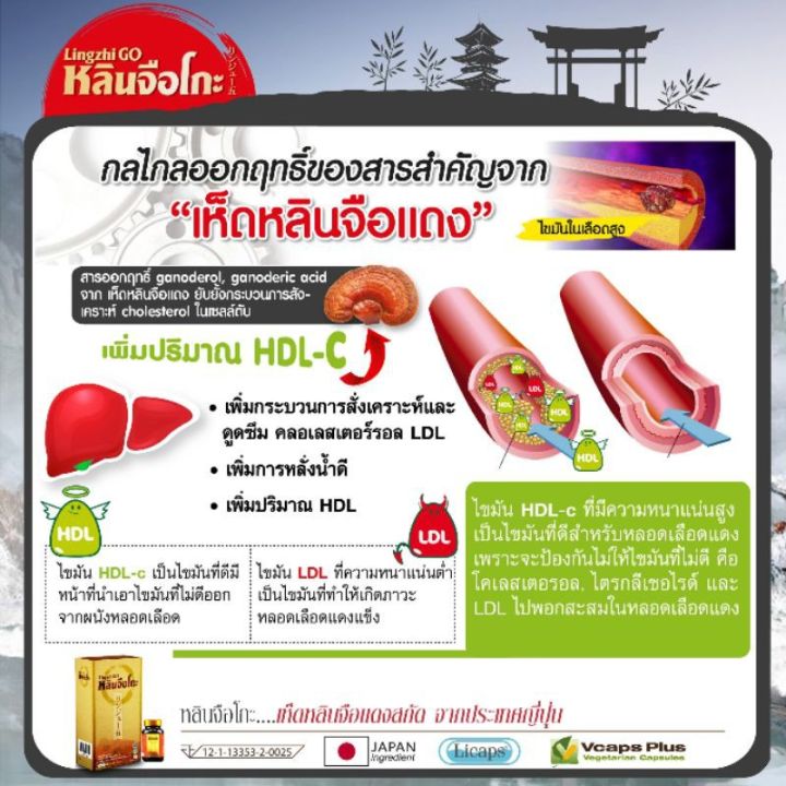 ส่งฟรี-หลินจือแดงแท้จากญี่ปุ่น-เพิ่มภูมิให้ร่างกาย-หลินจือโกะ-ตั๊กมยุรา-เห็ดหลินจือแดง-lingzhigoของแท้-ส่งตรงจากบริษัท