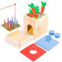 5 In 1 Montessori Wooden Toys Object Permanence Box Set Fishing Game Shape Puzzles Harvest Carrot Play Kit Kids Education Toy