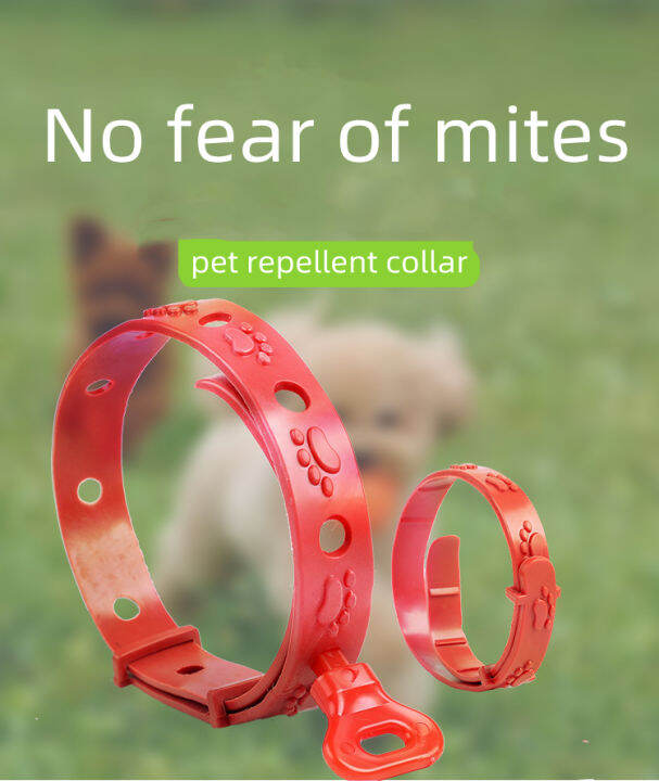 Pet Flea Collar Cat Dog Mosquito Repellent Insect Collar Pet in Vitro