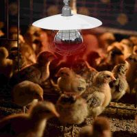 Small Dog Durable Pet Cage Lamp Livestock Heating Light Safe Reptile Warming Tool Convenient Accessory Incubator Stuff