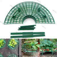 10PCS Strawberry Plant Stand Frame Holder Balcony Planting Rack Fruit Support Plant Flower Climbing Vine Pillar Gardening Stand YB21TH