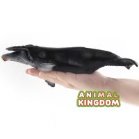 Animal Kingdom - โมเดล Whale ปลาวาฬ หลังค่อม ขนาด 28.00 CM (จากสงขลา)