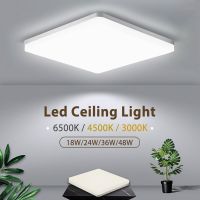 ZZOOI Round LED Ceiling Lights Flush Mount Ceiling Panel lights lamp Living Room Light 48W 24W  LED Ceiling Lights for Bedroom lights