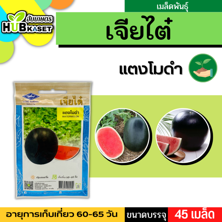 เจียไต๋ 🇹🇭 แตงโมดำ ขนาดบรรจุประมาณ 45 เมล็ด ระยะเก็บเกี่ยว 60-65 วัน