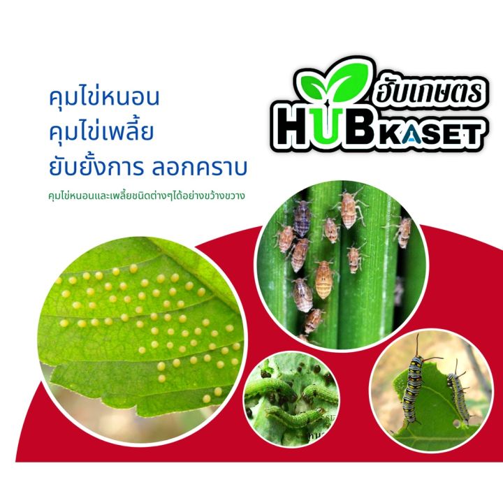 สินค้ายกกล่อง-โมแลน-100กรัม-10ซอง-อะซีทามิพริด-ใช้ป้องกันกำจัดเพลี้ยต่างๆ