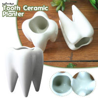 SUC Tooth Shape Succulent Flower Pot Glazed Small Planter Pot Ceramic Made White