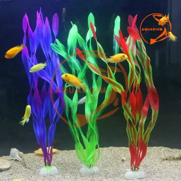 Lazada aquarium 2024