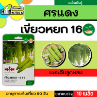 ศรแดง ?? มะระจีนลูกผสม เขียวหยก 16 F1 ขนาดบรรจุประมาณ 10 เมล็ด อายุเก็บเกี่ยว 60 วัน