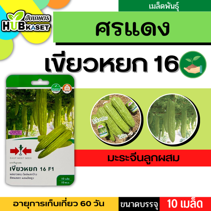 ศรแดง 🇹🇭 มะระจีนลูกผสม เขียวหยก 16 F1 ขนาดบรรจุประมาณ 10 เมล็ด อายุเก็บเกี่ยว 60 วัน