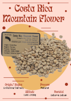 พร้อมส่ง เมล็ดกาแฟดิบ Costa Rica Mountain Flower Natural process/ เมล็ดกาแฟนอก/ เมล็ดกาแฟสารคอสตาริกา