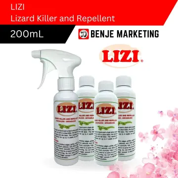 How to Use Lizard Control Products to Safeguard Your Home?, by BugsStop  Singapore