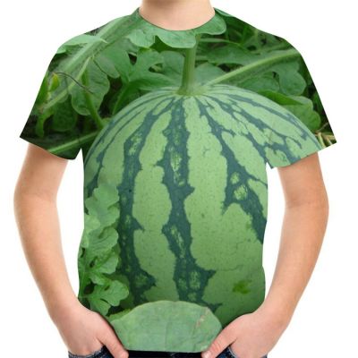 Joyonly 2022 Summer Children Green Fruit Watermelon Printing T Shirt Kids Clothes Boys T-Shirts Baby Girls Clothing Cool Tops