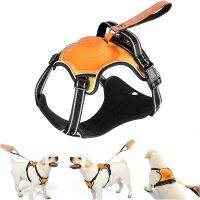 อัพเกรด2 In 1 No Pull Dog Harness &amp; Retractable Dog Leash Reflective Service Dog Harness เสื้อกั๊กสุนัขปรับได้พร้อมมือควบคุม