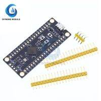 STM32F401CCU6 Micro USB System Development Learning Board 256KB Flash Memory 64KB SRAM For Arduino