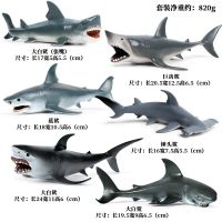 Megalodon ตุ๊กตาขยับแขนขาได้ชีวิตในทะเล43แบบสัตว์ทะเลคลาสสิกปลาฉลามขนาดใหญ่ของเล่นแบบชุดสะสมพีวีซีสำหรับเป็นของขวัญเด็ก