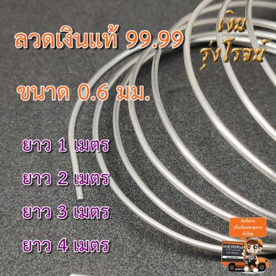 เงินแท้ 99.99 0.6มิล ลวดเงิน บริสุทธิ 99.99 Pure Silver 99.99 0.6mm