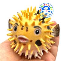 Munich Play - โมเดล Puffer Fish ปลาปักเป้า ขนาด 10.00 CM (จากหาดใหญ่)