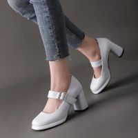 European and American wind of new fund of 2023 foreign trade square button lighter side word Mary Jane shoes waterproof thick high-heeled shoes