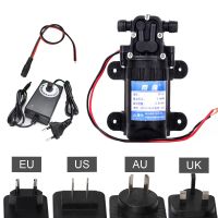 DC 12โวลต์การเกษตรปั๊มน้ำไฟฟ้าที่มีการควบคุมแหล่งจ่ายไฟไมโครแรงดันสูงไดอะแฟรมปั๊มน้ำพ่นล้างรถ2A