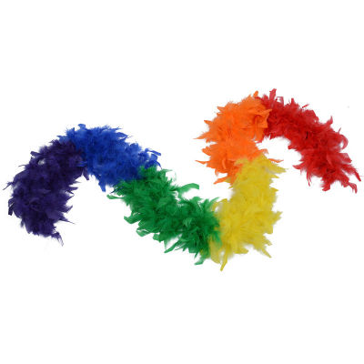 ขนนกสีรุ้ง ขนนกสายรุ้ง สายขนนก ขนนกแฟนซี เฟอร์ขนนก พร็อพขนนก ขนนกคลุมไหล่ ขนนกโชว์ เส้นขนนก ขนนก ยาว 2 เมตร Rainbow LGBT Feather String Fancy Show 2 meters