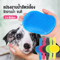 ? พร้อมส่ง ? Pet Shower Brush แปรงอาบน้ำสัตว์เลี้ยง สุนัข หมา แมว แปรงสวมมือ ที่อาบน้ำสัตว์ แปรงขน นวดผ่อนคลาย