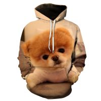 Sudadera con capucha para hombre y mujer, con estampado 3D de perro Chow, con patrón de animales, informal, creativa, de gran tamaño, gran oferta