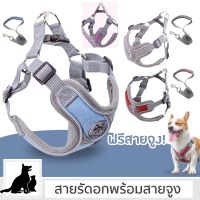 DOG สายรัดอกสุนัข พร้อมส่งที่ไทย สายรัดอก ระบายความร้อน สายรัดสุนัข สำหรับสุนัขและแมว สายจูงสุนัข Dog Harness Cleverpet