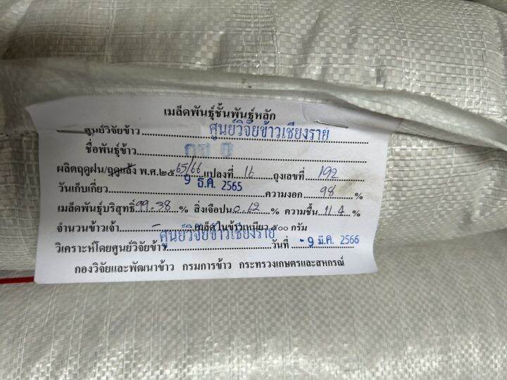 จัดส่งฟรี-เมล็ดพันธุ์ข้าว-กข6-ชั้นพันธุ์-หลัก-ผลิดโดย-ศูนย์วิจัยข้าว-กรมการข้าว