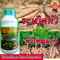 ปุ๋ยมันสำปะลัง 500 ซีซี (ต้นใหญ่ ใบเขียว )ปุ๋ยระเบิดหัว หัวโต หัวใหญ่ มันสำปะหลัง เร่งใบเขียวเข้ม โตไว ยืดไว รากแข็งแรง พืชแข็งแรงสมบูรณ์ ปุยเพิ่มน้ำหนัก  ปุยเพิ่มน้ำหนักหัว