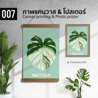 007 มอนสเตอร่าด่าง Monstera Albo ภาพพิมพ์ แคนวาส โปสเตอร์ โฟโต้ และสติ๊กเกอร์ PVC ขนาด 50x70 40x50 30x40 ซม