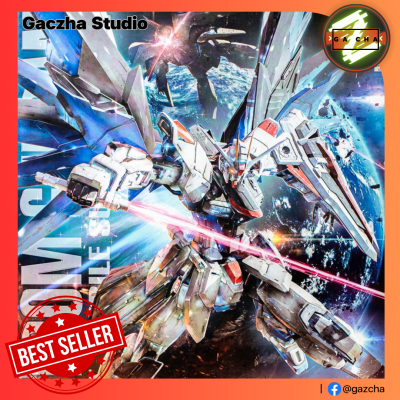 [พร้อมส่ง] Bandai MG 1/100 Freedom Gundam Ver.2.0 + Expansion Effect Set