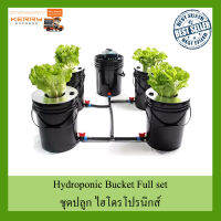 ชุดปลูกครบเซ็ท Hydroponic Grow System Deep Water Culture (DWC) Complete Kit (4 Bucket + Reservoir Kit) full set สำหรับสายไฮโดรโปรนิกส์